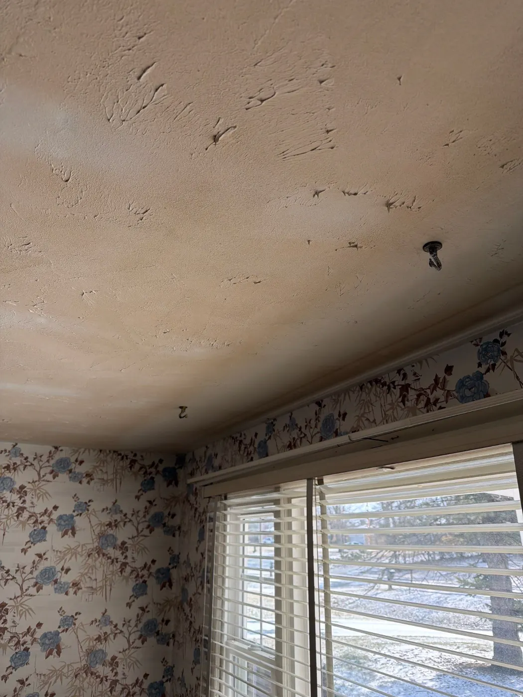 Moisture meter reading on drywall in Hampton Park water loss